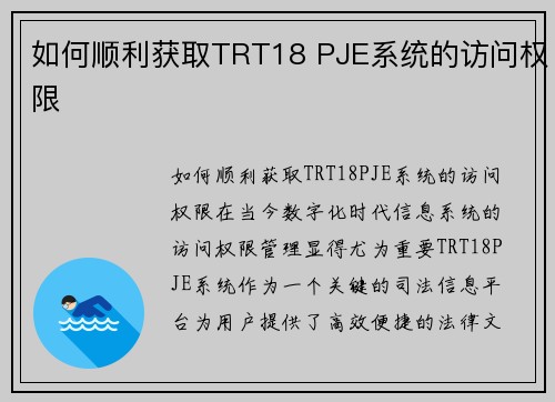 如何顺利获取TRT18 PJE系统的访问权限